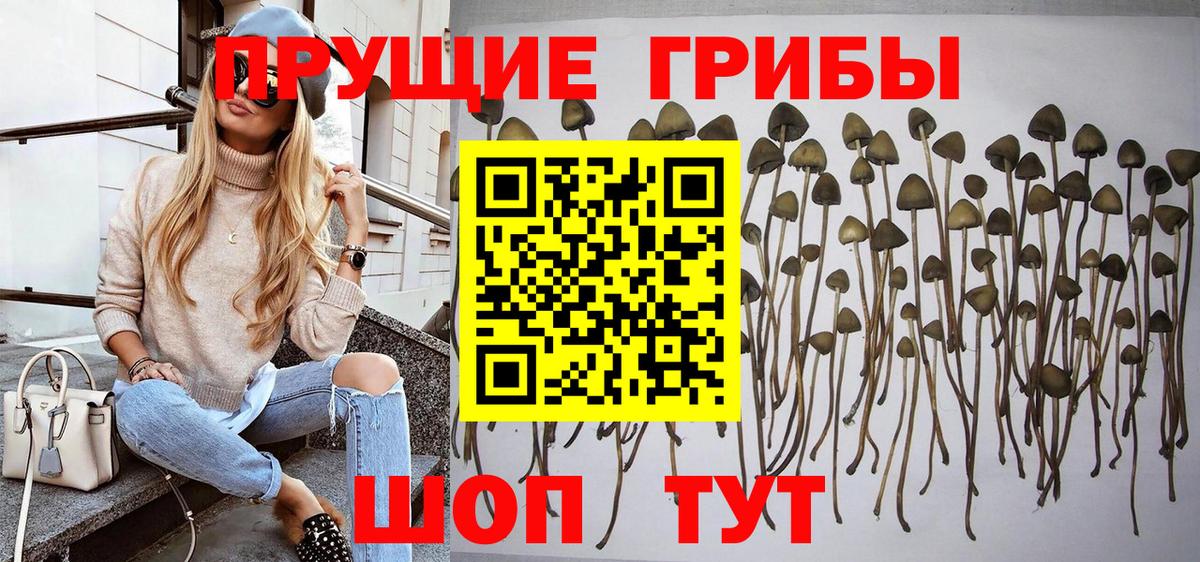 Псилоцибиновые грибы Magic Shrooms  Вход с VPN  Псилоцибиновые грибы Magic Shrooms  Сердобск 